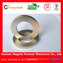 N35 Custom Permanent Industrial NdFeB Neodymium Magnet